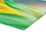 Cutting Board ( Glass ) - Brazilian Flag Decoration